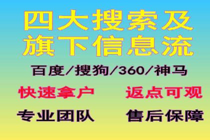 SEM推广实战：案例解析与策略探讨